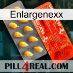 Enlargenexx new01